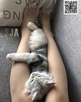 免费a∨网站在线观看_DVD高清在线