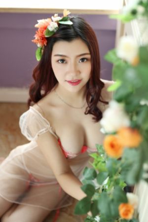 欧美韩系百搭袜子_1080神马在线观看