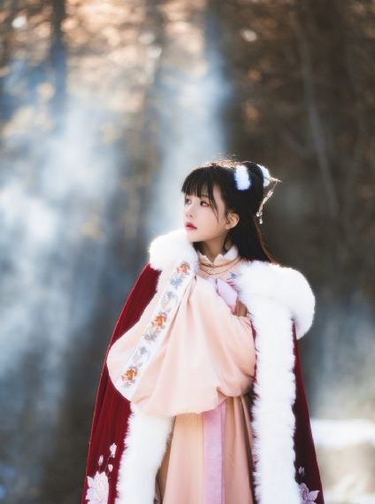 欧美付费歌手_超清电影在线看