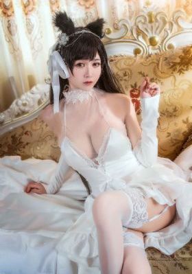 国产狗粮的价格_BD迅雷电影在线